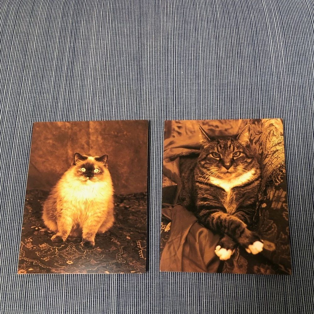 Two Cat Notecards